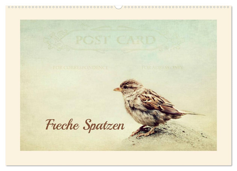 Freche Spatzen (CALVENDO Wandkalender 2027)