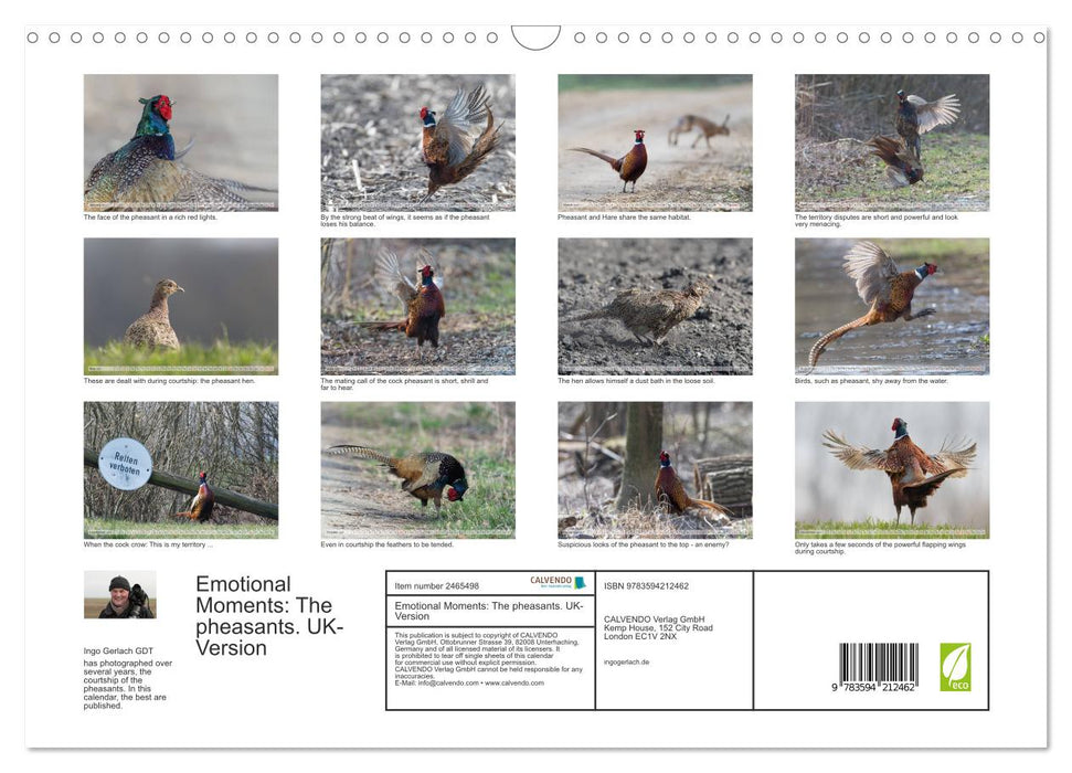 Emotional Moments: The pheasants. UK-Version (CALVENDO Monthly Calendar 2027)