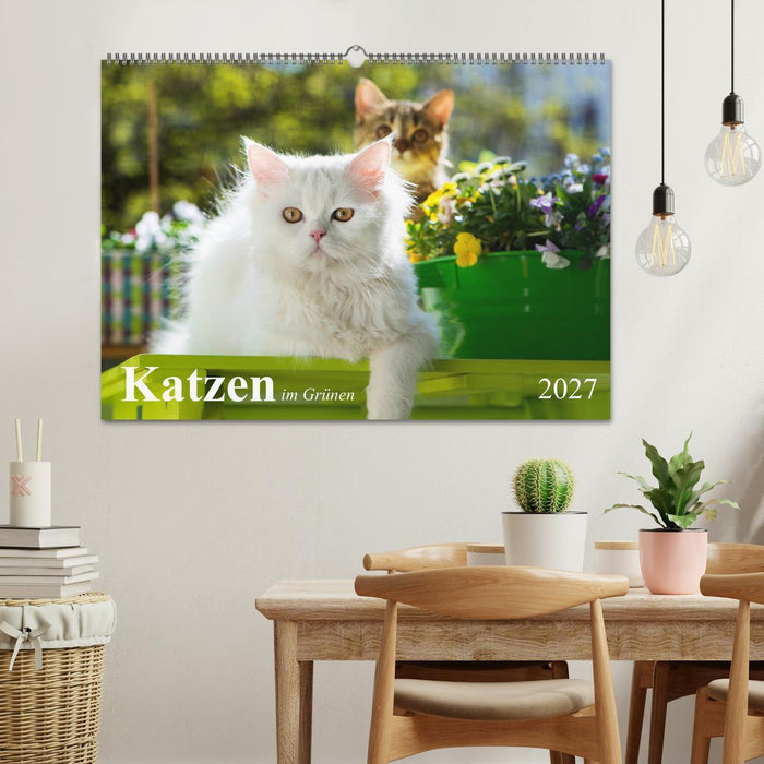 Katzen im Grünen (CALVENDO Wandkalender 2027)