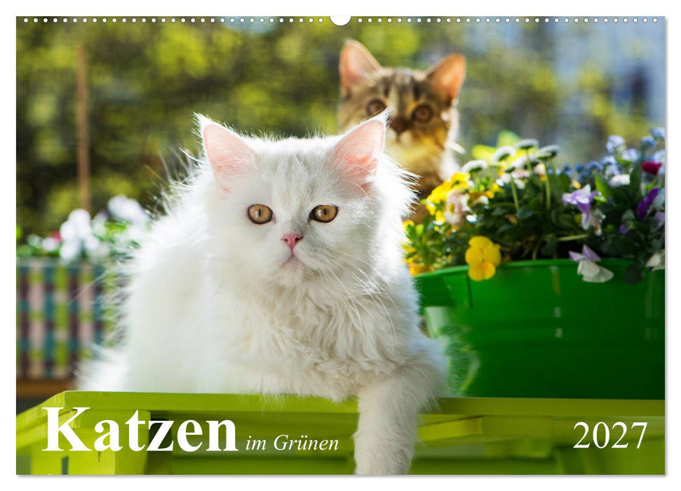 Katzen im Grünen (CALVENDO Wandkalender 2027)