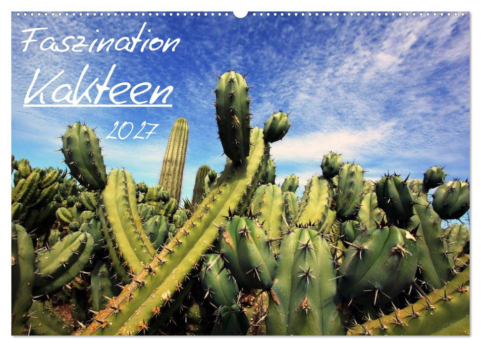 Faszination Kakteen (CALVENDO Wandkalender 2027)