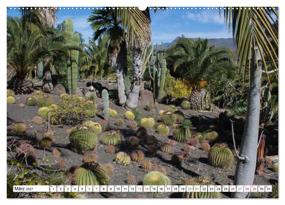 Faszination Kakteen (CALVENDO Wandkalender 2027)
