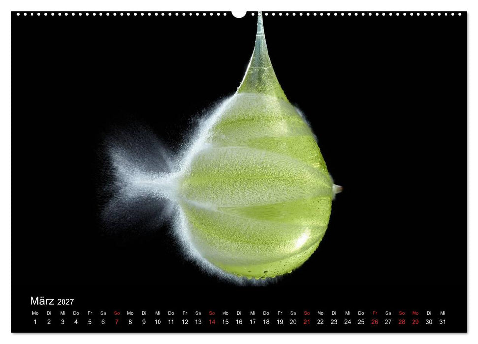 Ballistik Highspeed Fotos (CALVENDO Premium Wandkalender 2027)