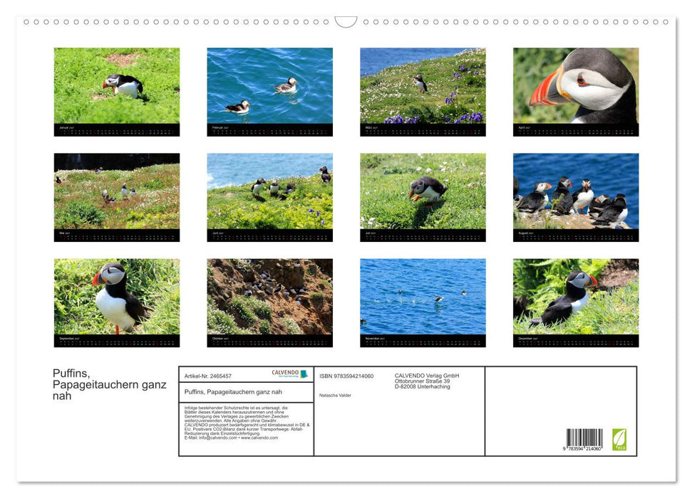 Puffins, Papageitauchern ganz nah (CALVENDO Wandkalender 2027)