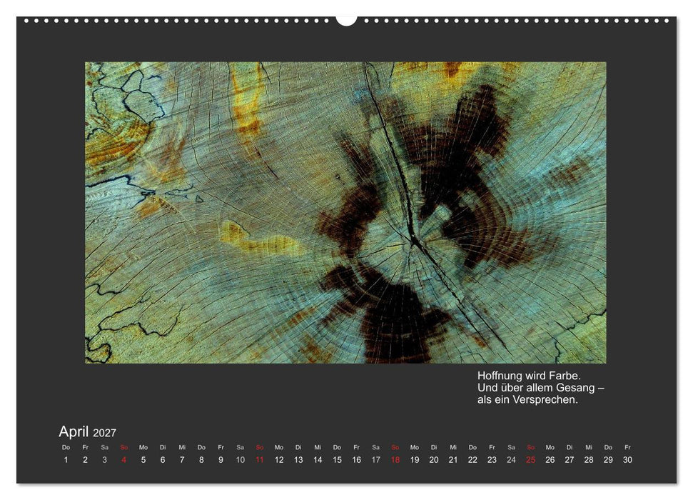 MAGIE HOLZ 2027 (CALVENDO Premium Wandkalender 2027)