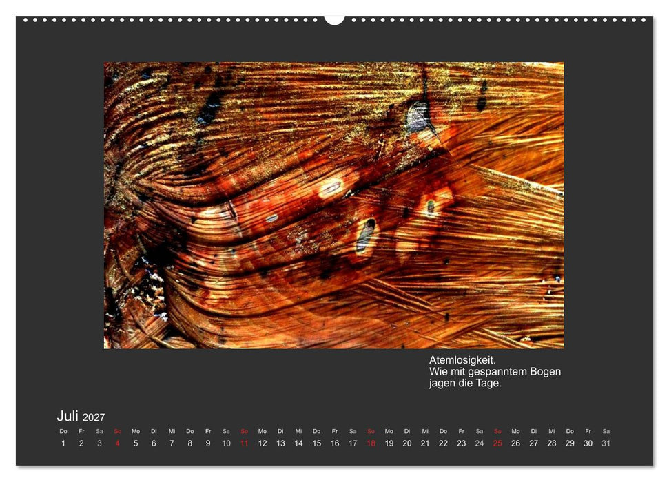 MAGIE HOLZ 2027 (CALVENDO Premium Wandkalender 2027)