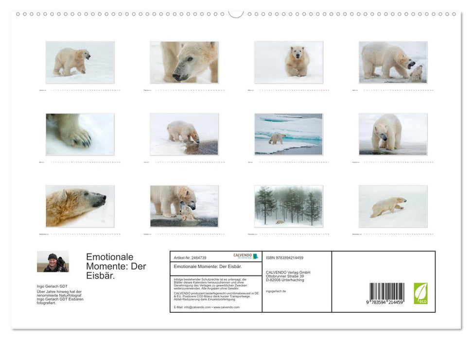 Emotionale Momente: Der Eisbär. (CALVENDO Premium Wandkalender 2027)