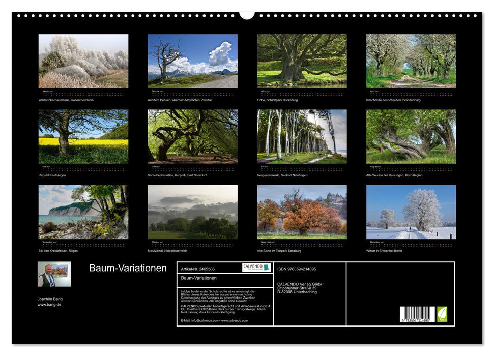 Baum-Variationen (CALVENDO Wandkalender 2027)