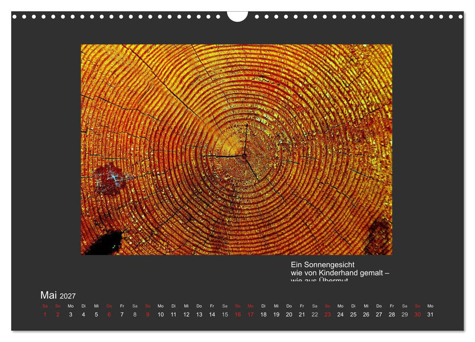 MAGIE HOLZ 2027 (CALVENDO Wandkalender 2027)