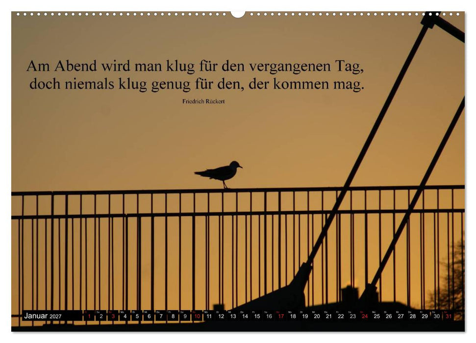 Weisheiten, Zitate und Sprüche - Ein Jahr voller Gedanken 2027 (CALVENDO Premium Wandkalender 2027)