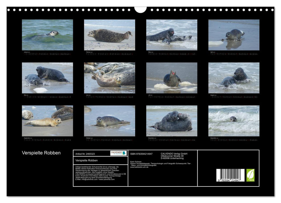 Verspielte Robben (CALVENDO Wandkalender 2027)