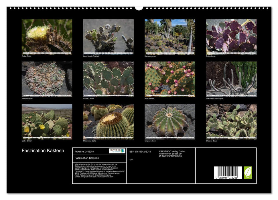 Faszination Kakteen (CALVENDO Premium Wandkalender 2027)