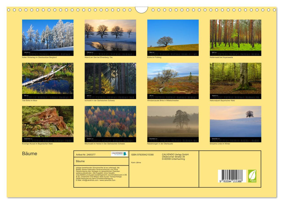 Bäume (CALVENDO Wandkalender 2027)