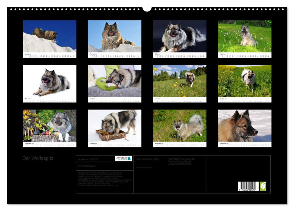 Der Wolfsspitz (CALVENDO Wandkalender 2027)