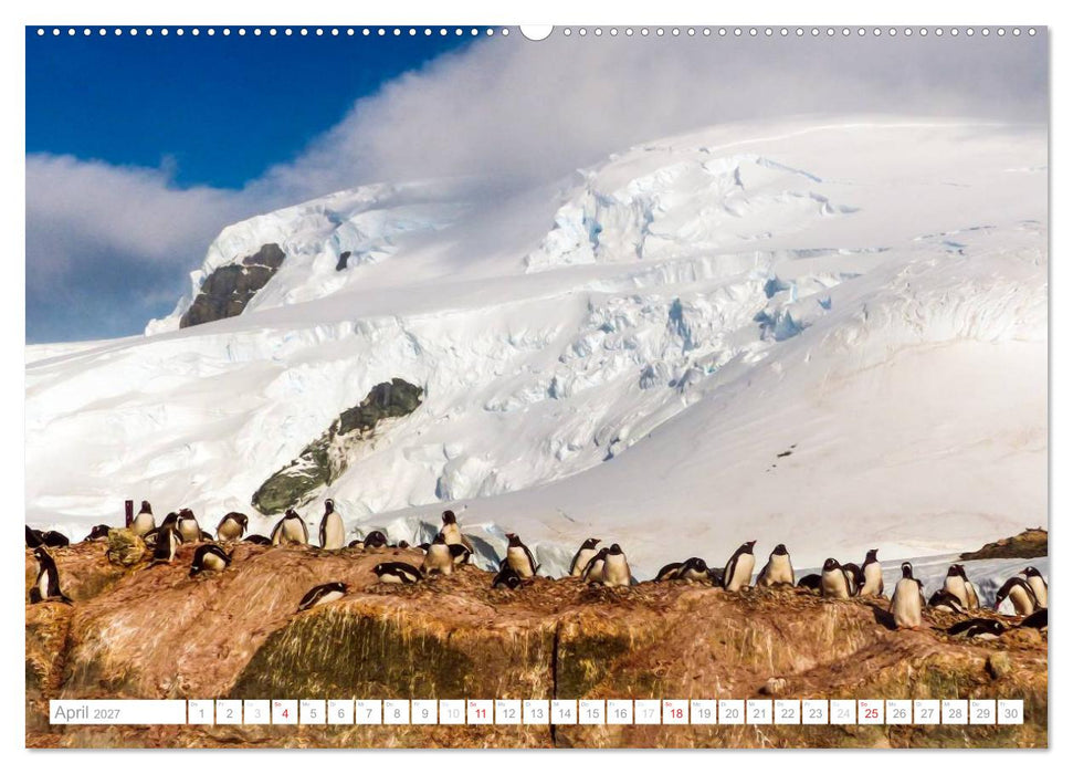 Antarktis - Das Reich der Pinguine (CALVENDO Wandkalender 2027)