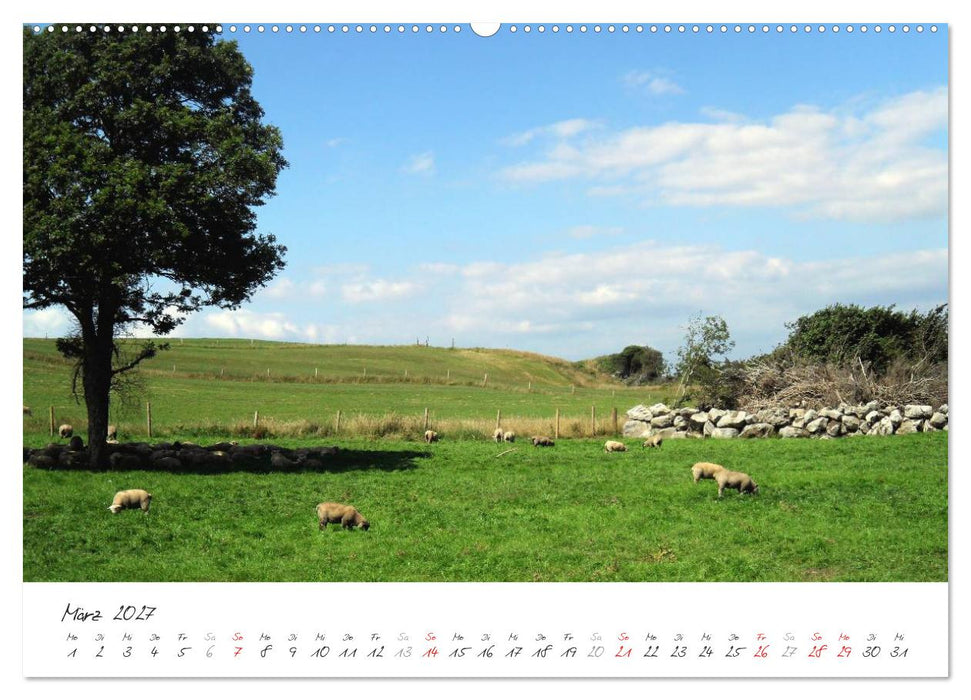 Märchenhaftes Irland (CALVENDO Premium Wandkalender 2027)