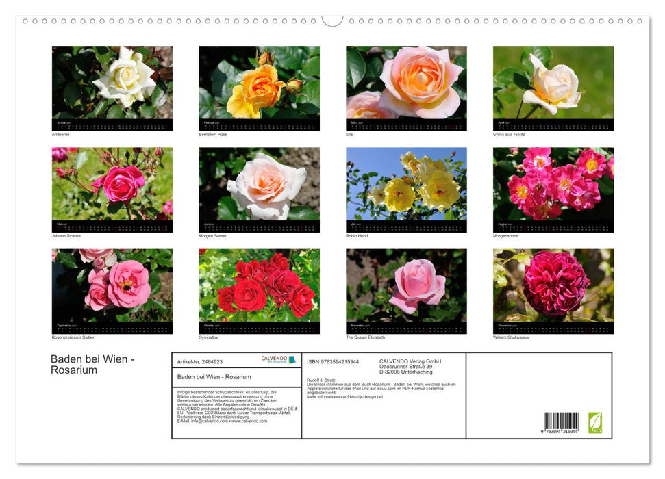 Baden bei Wien - Rosarium (CALVENDO Wandkalender 2027)