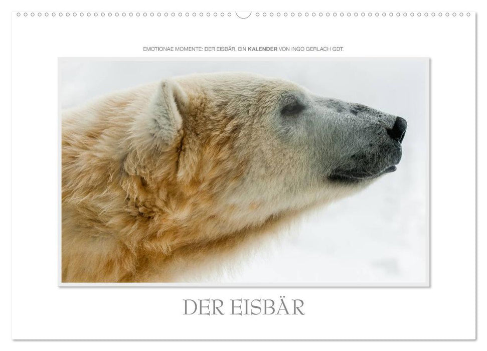 Emotionale Momente: Der Eisbär. (CALVENDO Wandkalender 2027)