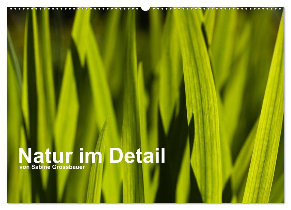 Natur im Detail (CALVENDO Wandkalender 2027)