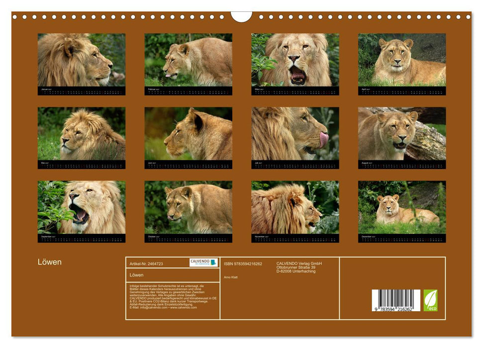 Löwen (CALVENDO Wandkalender 2027)