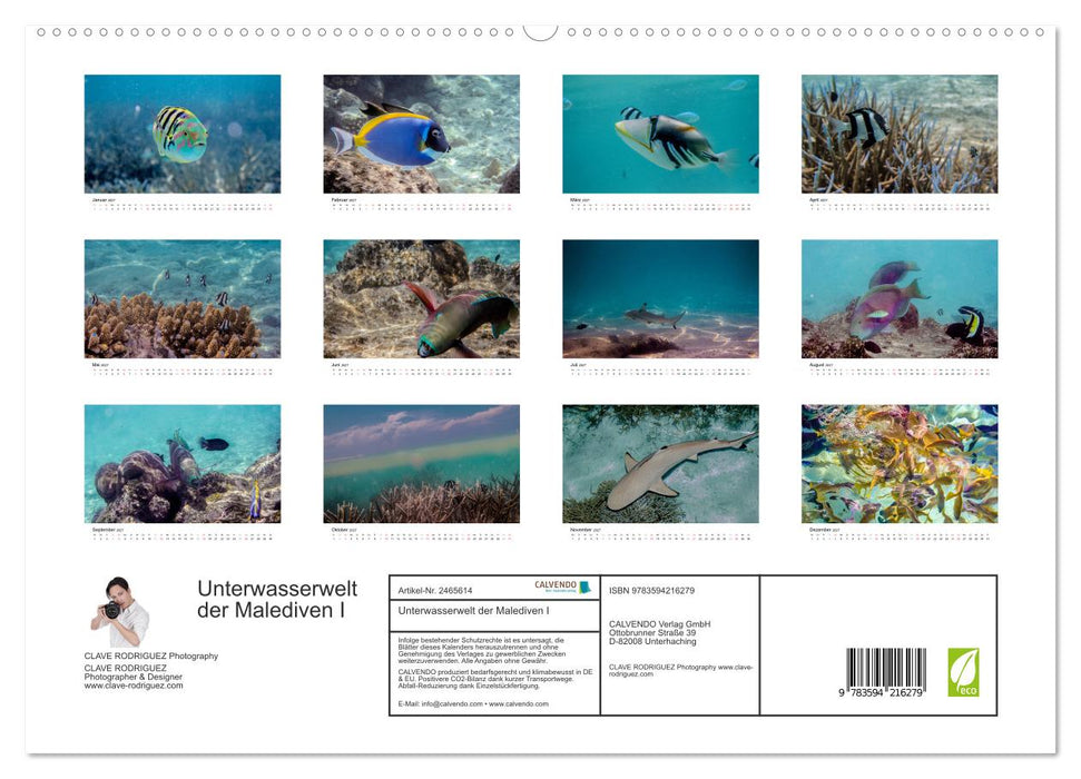Unterwasserwelt der Malediven I (CALVENDO Premium Wandkalender 2027)