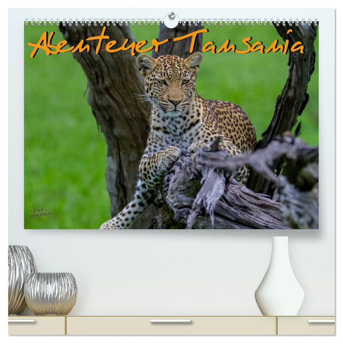 Abenteuer Tansania, Afrika (CALVENDO Premium Wandkalender 2027)