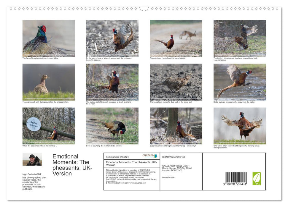 Emotional Moments: The pheasants. UK-Version (CALVENDO Premium-Calendar 2027)