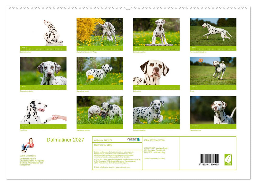 Dalmatiner 2027 (CALVENDO Premium Wandkalender 2027)