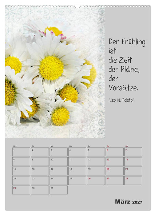 Motivationshilfe (CALVENDO Wandkalender 2027)