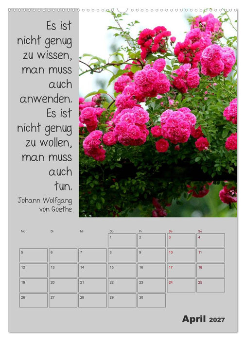 Motivationshilfe (CALVENDO Wandkalender 2027)
