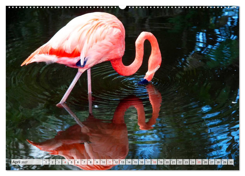 FLORIDA Paradiesischer Sonnenscheinstaat (CALVENDO Wandkalender 2027)