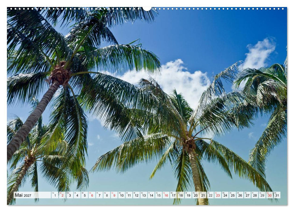 FLORIDA Paradiesischer Sonnenscheinstaat (CALVENDO Wandkalender 2027)