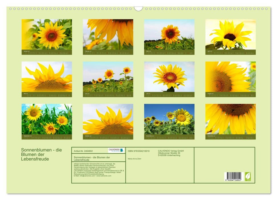Sonnenblumen - die Blumen der Lebensfreude (CALVENDO Wandkalender 2027)
