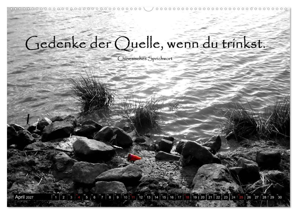 Weisheiten, Zitate und Sprüche - Ein Jahr voller Gedanken 2027 AT Version (CALVENDO Wandkalender 2027)