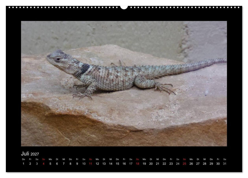 Faszinierende Reptilien (CALVENDO Premium Wandkalender 2027)