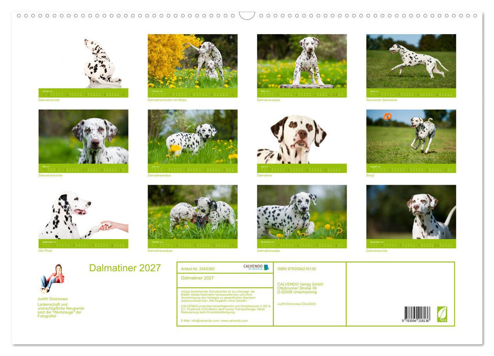 Dalmatiner 2027 (CALVENDO Wandkalender 2027)