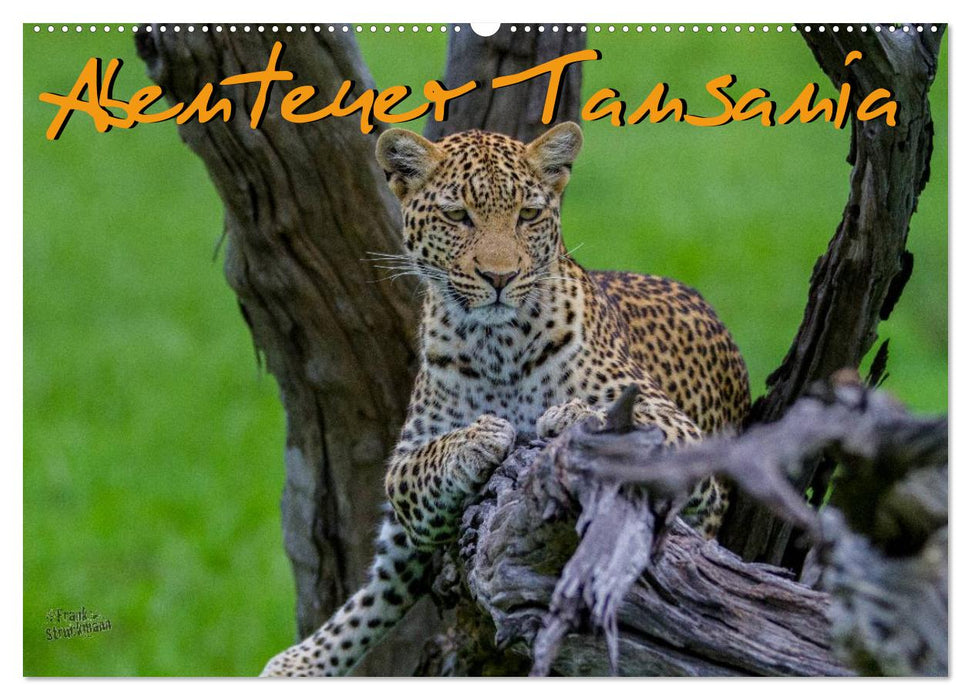 Abenteuer Tansania, Afrika (CALVENDO Wandkalender 2027)
