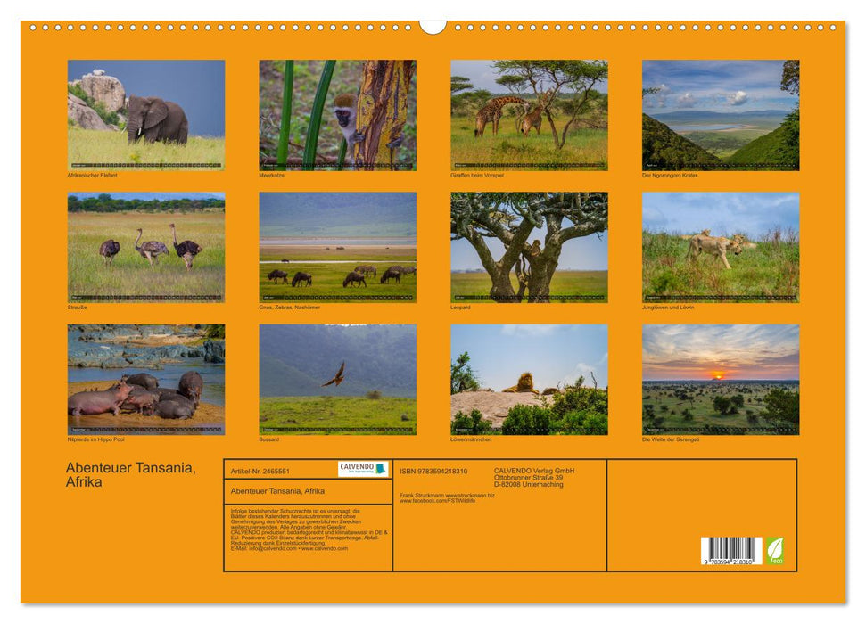 Abenteuer Tansania, Afrika (CALVENDO Wandkalender 2027)