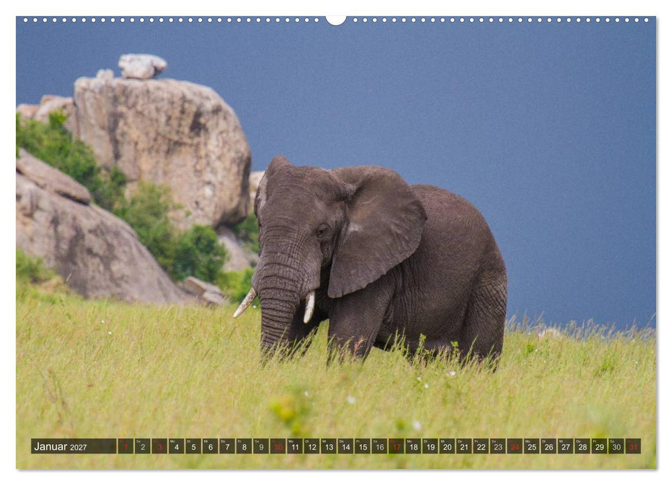 Abenteuer Tansania, Afrika (CALVENDO Wandkalender 2027)