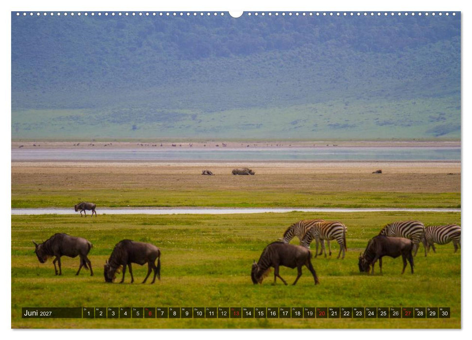 Abenteuer Tansania, Afrika (CALVENDO Wandkalender 2027)