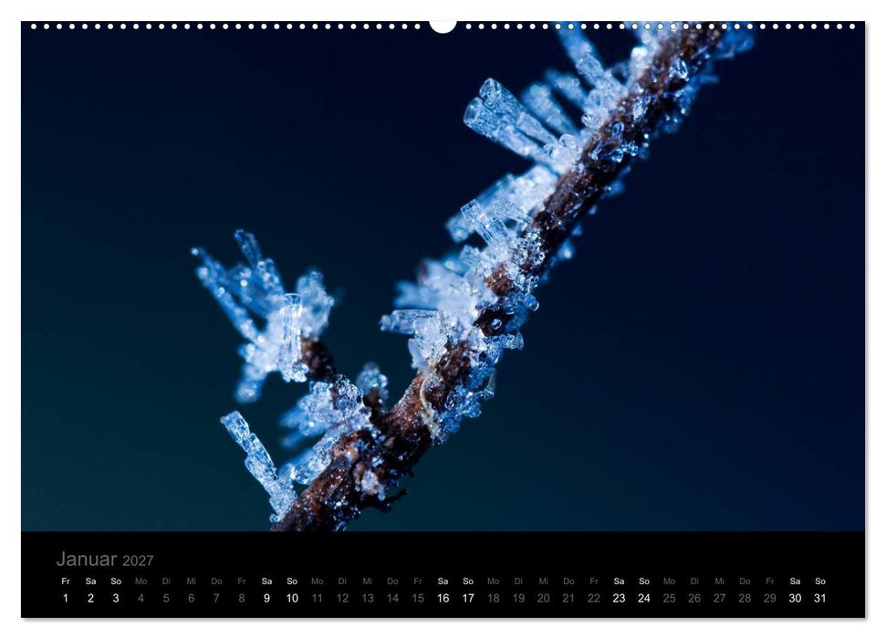Natur im Detail (CALVENDO Premium Wandkalender 2027)
