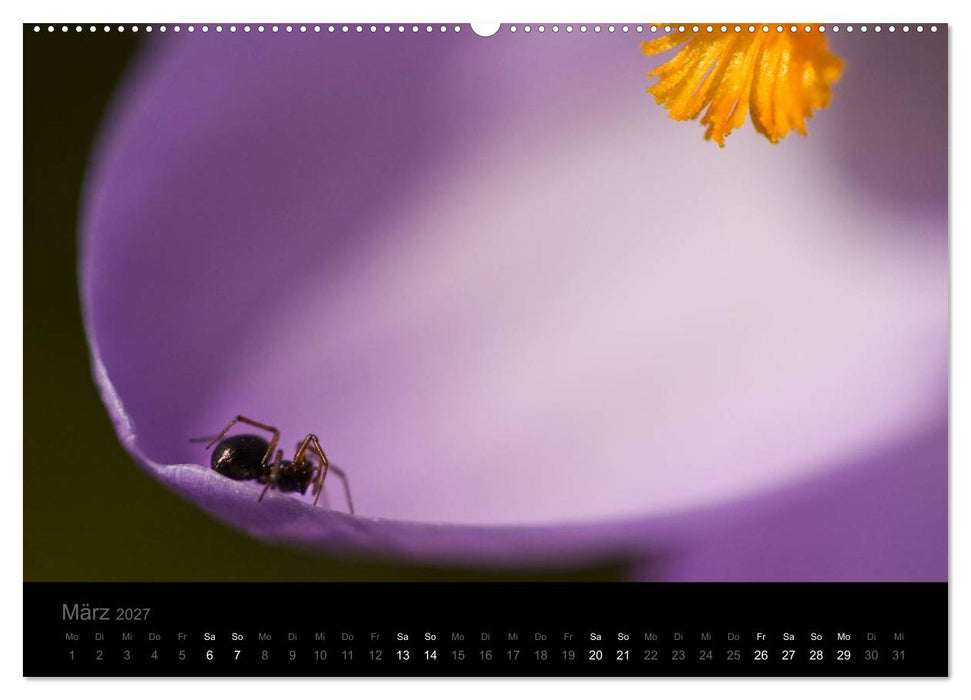 Natur im Detail (CALVENDO Premium Wandkalender 2027)