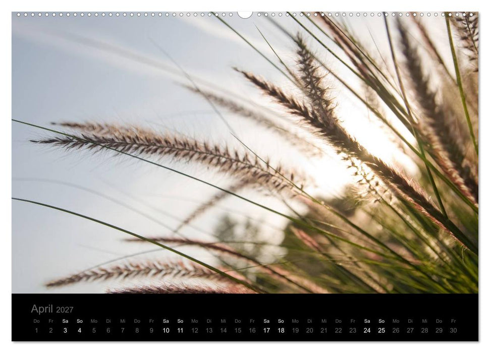 Natur im Detail (CALVENDO Premium Wandkalender 2027)