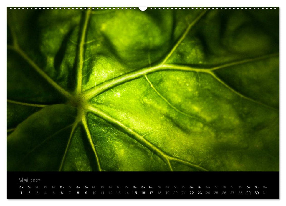Natur im Detail (CALVENDO Premium Wandkalender 2027)