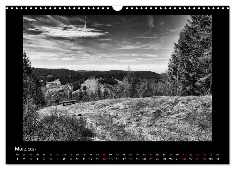 Harz-Bilder in monochrome (CALVENDO Wandkalender 2027)