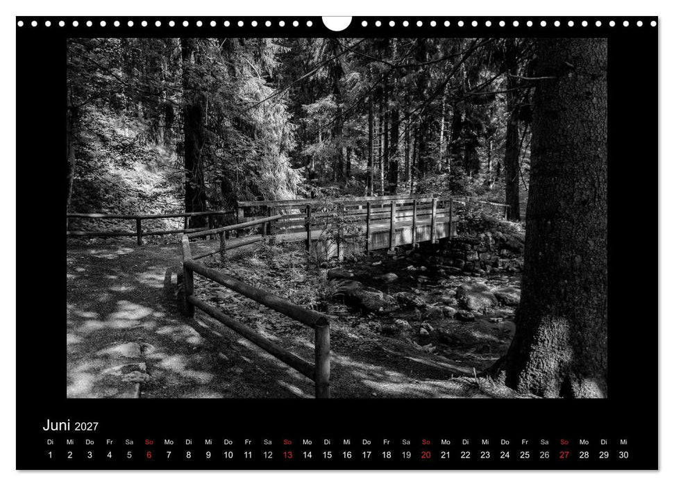 Harz-Bilder in monochrome (CALVENDO Wandkalender 2027)