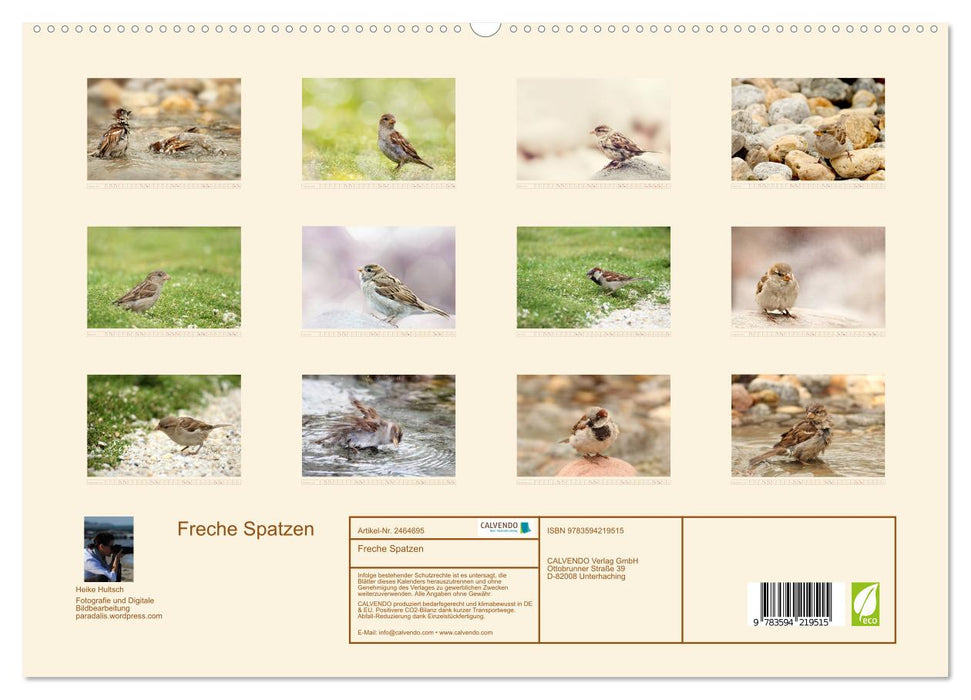 Freche Spatzen (CALVENDO Premium Wandkalender 2027)