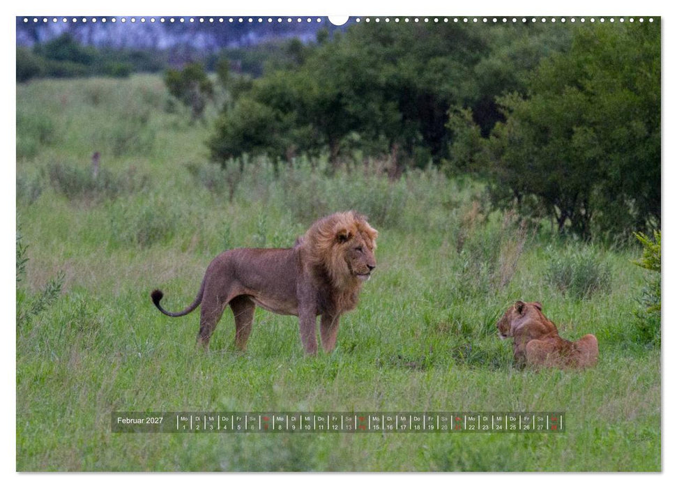 Abenteuer Botswana Afrika - Adventure Botswana (CALVENDO Premium Wandkalender 2027)