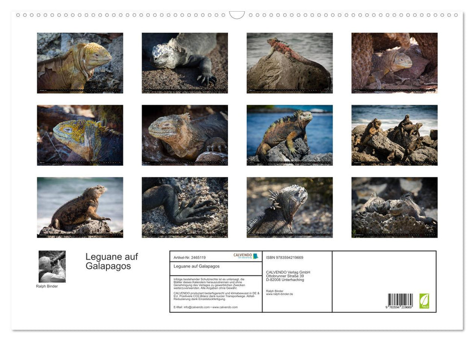 Leguane auf Galapagos (CALVENDO Wandkalender 2027)