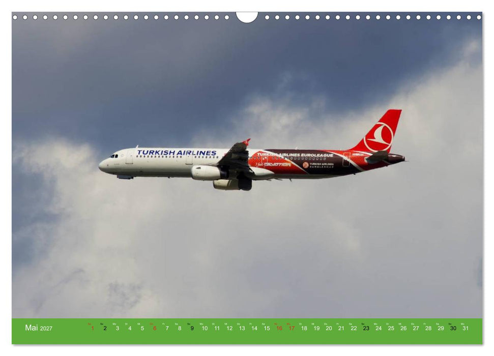 Die schönsten Flugzeug-Bemalungen (CALVENDO Wandkalender 2027)